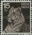 Tiger (Panthera tigris)