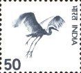 Virgin Crane (Anthropoides virgo)