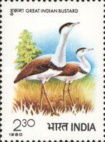International Symposium on Bustards, Jaipur