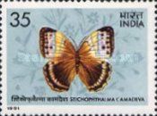 Northern Jungle Queen (Stichophthalma camadeva)