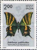 Kaiser-i-Hind (Treinopalpus imperialis)