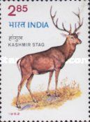 Wildlife Conservation
