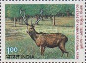 50th Anniversary of Kanha National Park