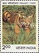 Ten Years of "Project Tiger"