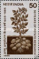 50th Anniversary of Potato Research in India