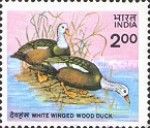 Wildlife Conservation