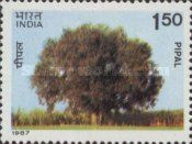 Pipal