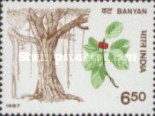 Banyan