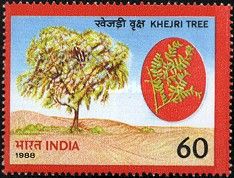 World Environment Day