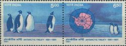 Emperor Penguin (Aptenodytes forsteri)