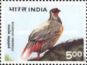 Blood Pheasant (Ithaginis cruentus)
