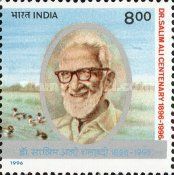 Salim Ali (1896-1987)