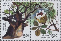 Parijati Flower