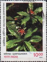 Sarpagandha (Rauvolfia serpentina)