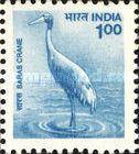 Sarus Crane (Grus antigone)