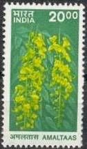 Amaltaas