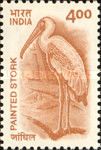Painted Stork (Mycteria leucocephala)