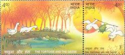 Geese and Tortoise Talking