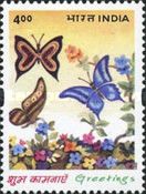 Butterflies and Flowers