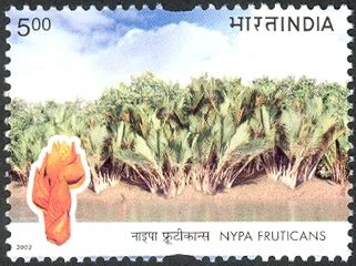Mangrove Palm (Nypa fruiticans)