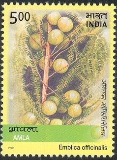Amla (Emblica officinalis)