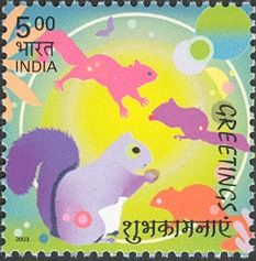 Squirrels