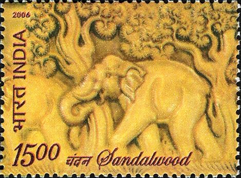 "Elephant in Forest" (Sandalwood Carving)