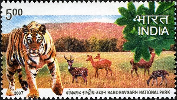 Bandhavgarh National Park, Madhya Pradesh