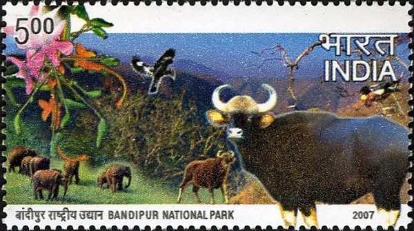 Bandipur National Park, Karnataka