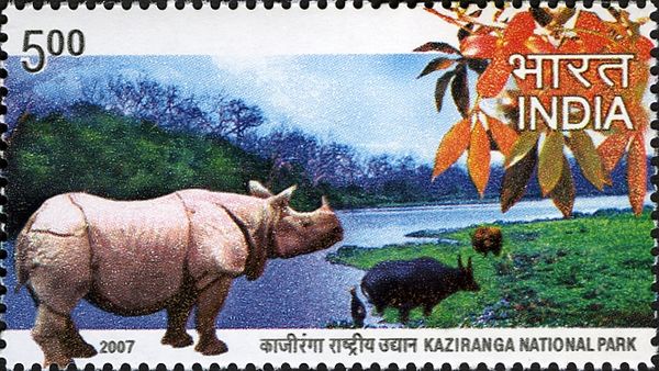 Kaziranga National Park, Assam