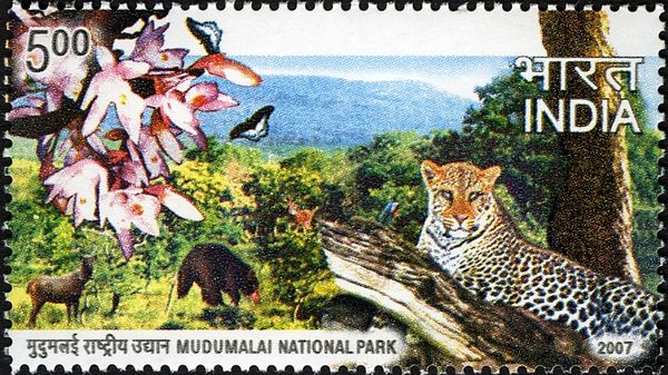 Mudumalai National Park