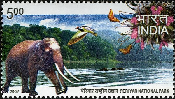 Periyar National Park, Kerala
