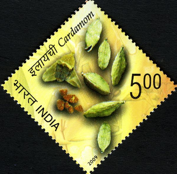 Cardamom