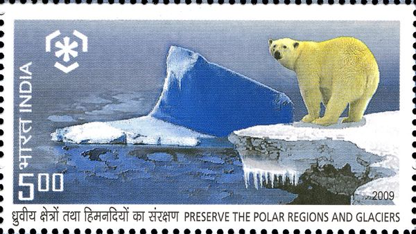 Polar Bear (Ursus maritimus)
