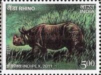Indipex 2011 - Indian Rhinoceros (Rhinoceros unicornis)