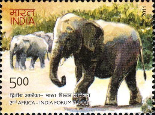 Asian Elephant (Elephas maximus)