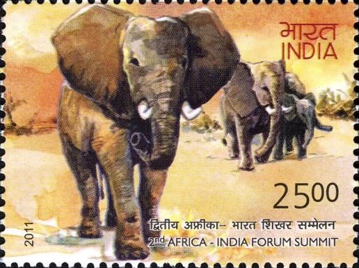 African Elephant (Loxodonta africana)