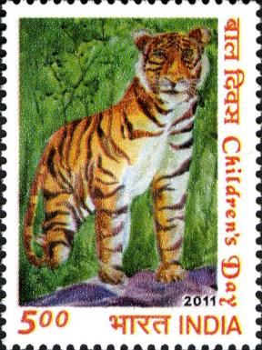 Tiger (Panthera tigris) Standing