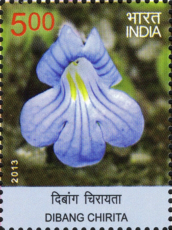 Dibang Chirita