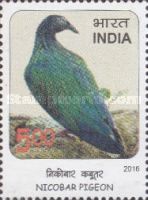 Nicobar Pigeon (Caloenas nicobarica)