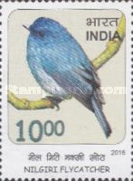 Nilgiri Flycatcher (Eumyias albicaudatus)