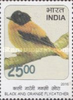 Black-and-orange Flycatcher (Ficedula nigrorufa)