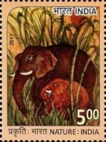 Elephant Mother and Calf