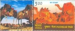 Greetings - Pushkar Fair