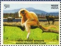 Manas Wildlife Sanctuary