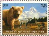Nanda Devi & Valley of Flowers National Parks
