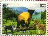 Wildlife of the Western Ghats