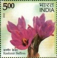 Saffron, Kashmir
