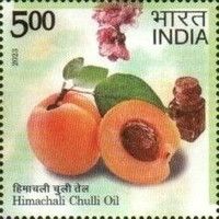Chuli Oil, Himachali