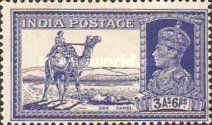 Dak camel